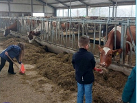 Foto bij artikel Op ontdekking bij de Boerderij